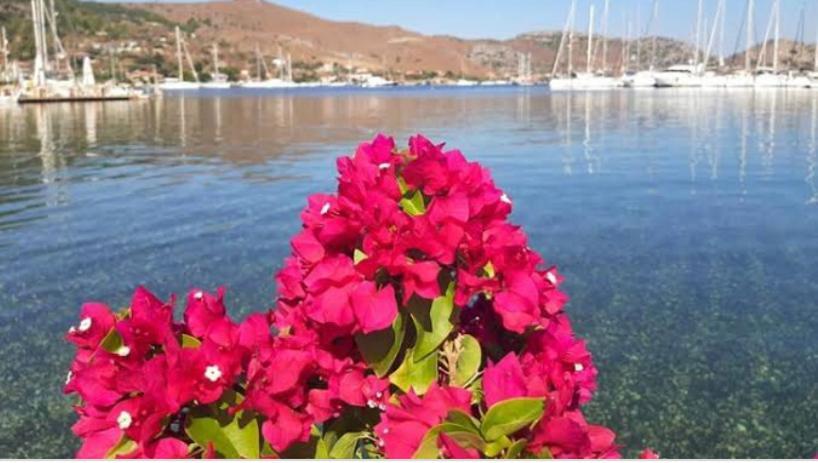 Defne Residence Selimiye Marmaris Zewnętrze zdjęcie